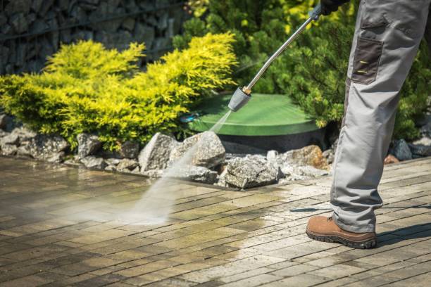 Best Driveway Pressure Washing  in Nipomo, CA