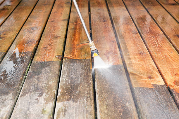 Best Solar Panel Cleaning  in Nipomo, CA